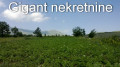 Prodaja Poljoprivredno zemljište, Sokobanja, Vrmdža, 4 500 EUR